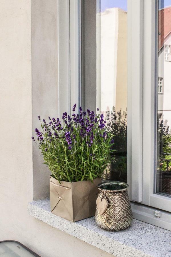 Weinquartier Naumburg Apartment Exterior photo